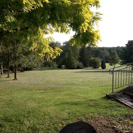 Villa Le Lansquenet Rorbach-les-Dieuze Esterno foto
