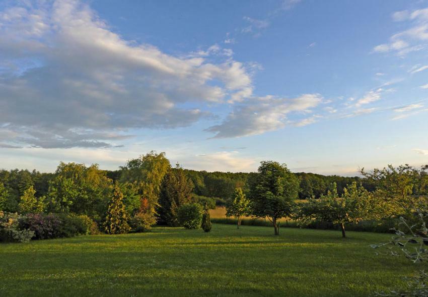 Villa Le Lansquenet Rorbach-les-Dieuze Esterno foto